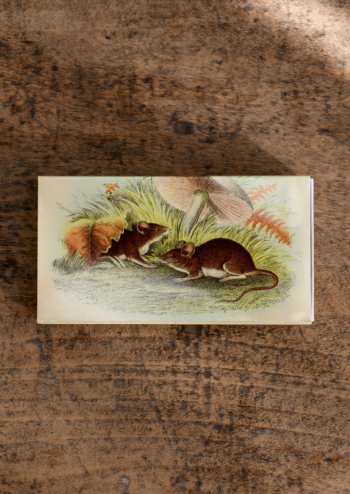 Field Mice Matchbox