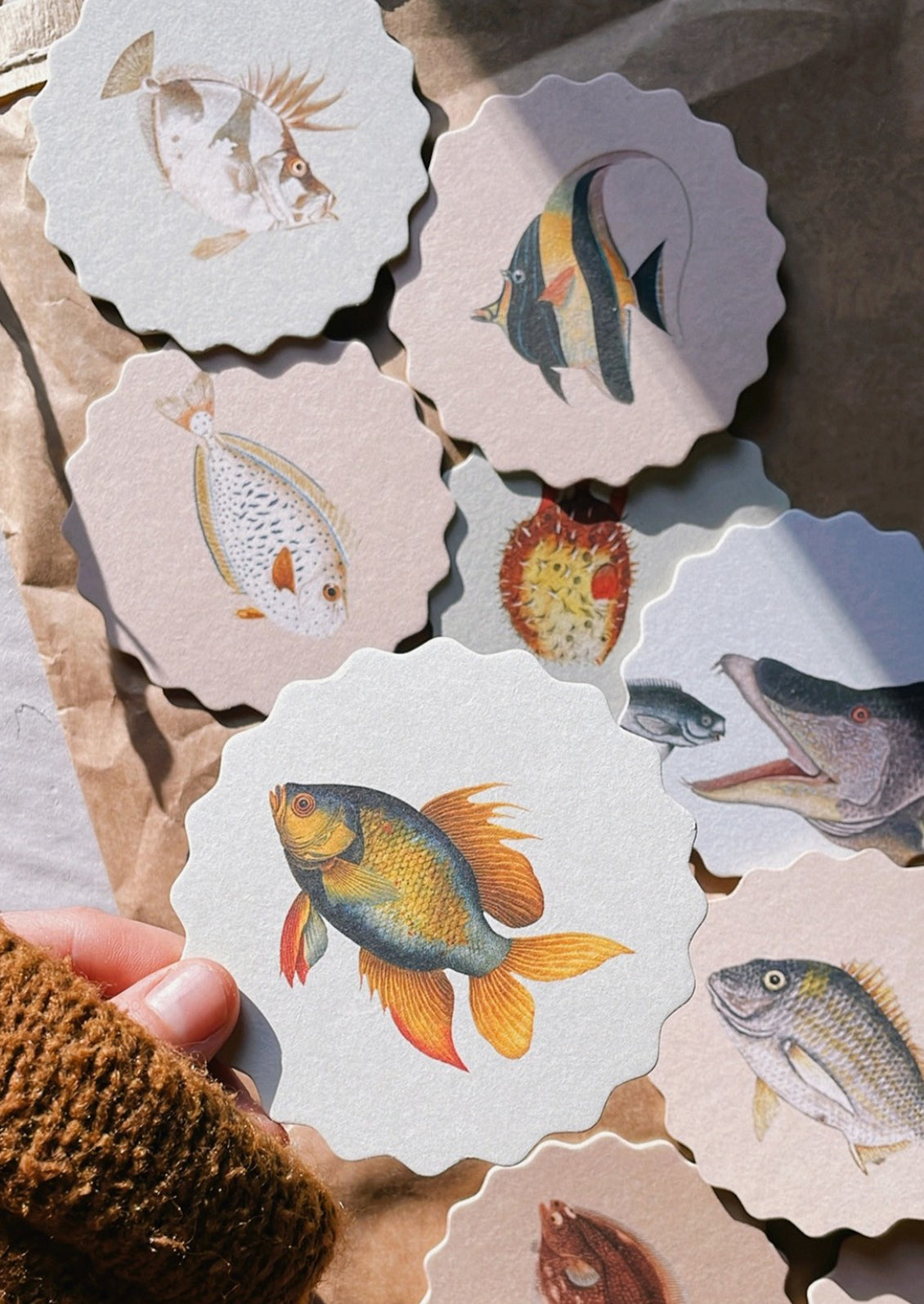 Scalloped Paper Coaster Set