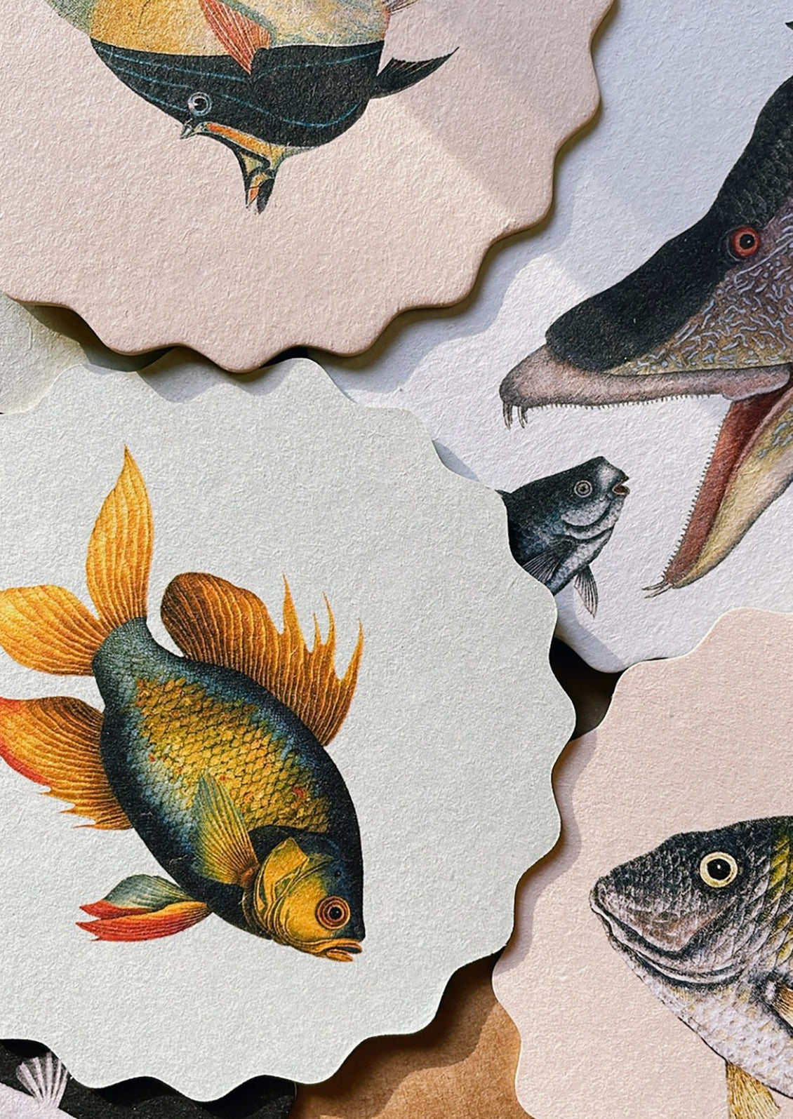 Scalloped Paper Coaster Set
