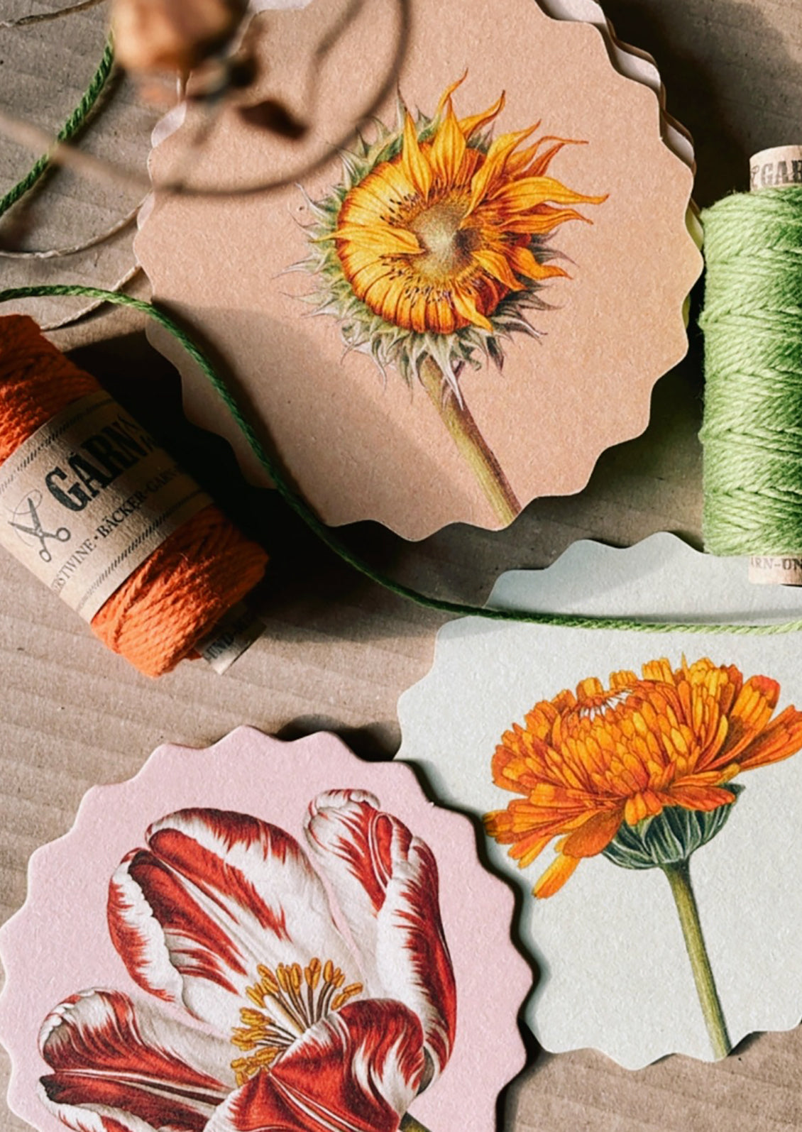 Scalloped Paper Coaster Set