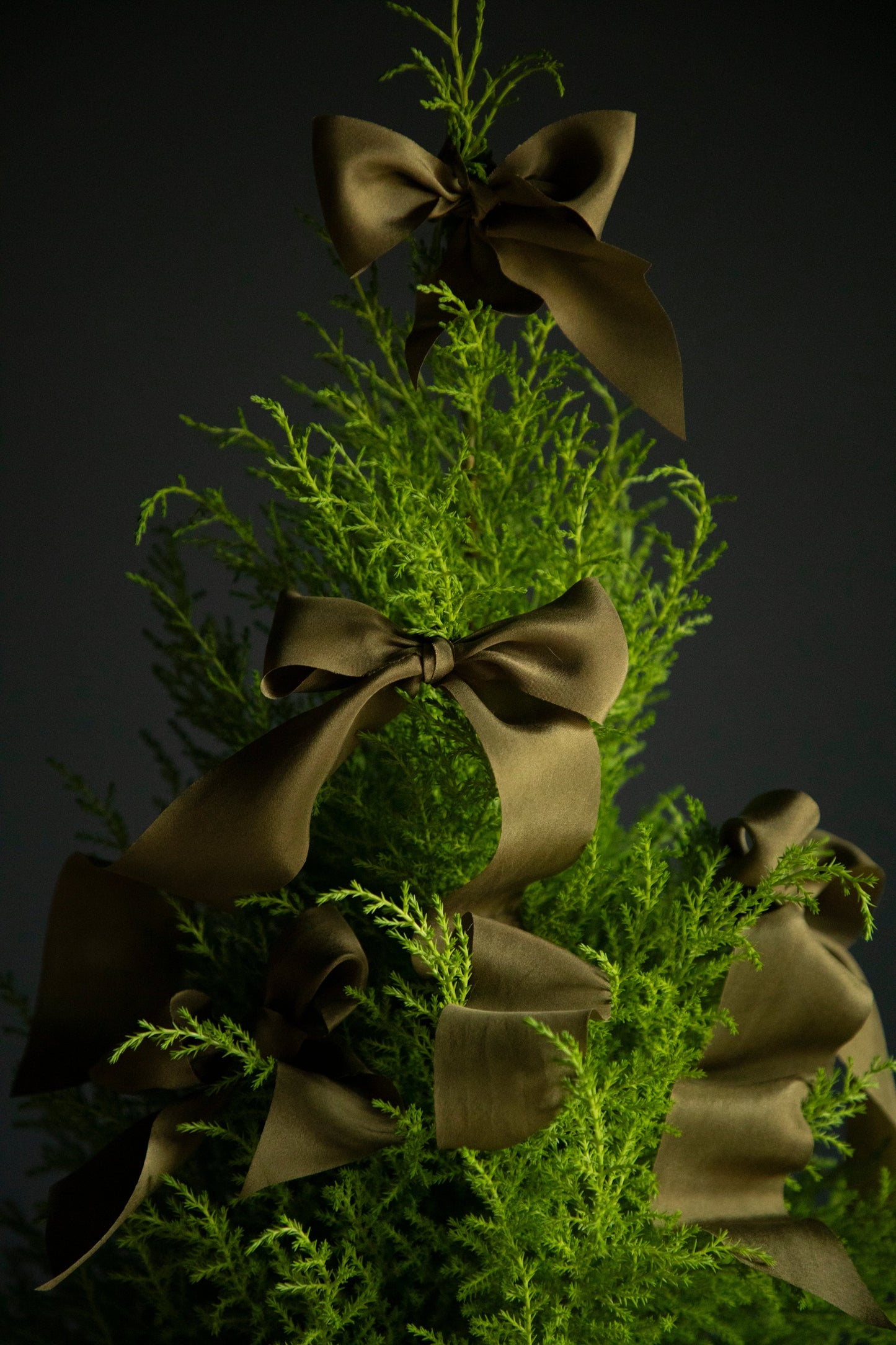 Forest Silk Ribbon