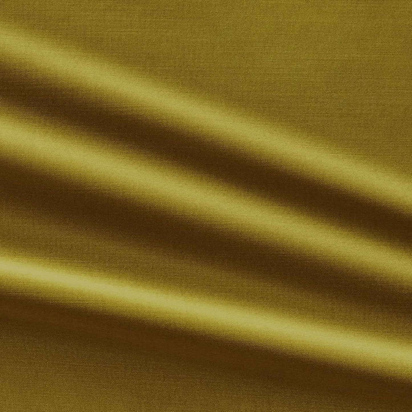 Honey in Luxury Velvet