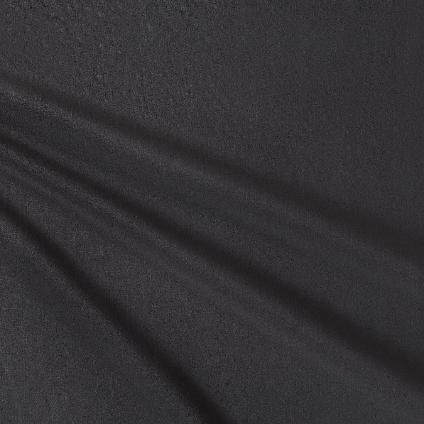 Obsidian in Luxury Velvet