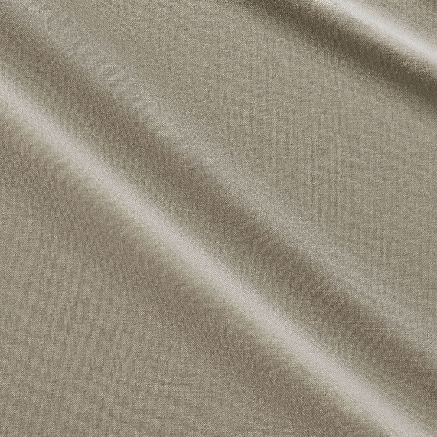 Oyster in Luxury Velvet