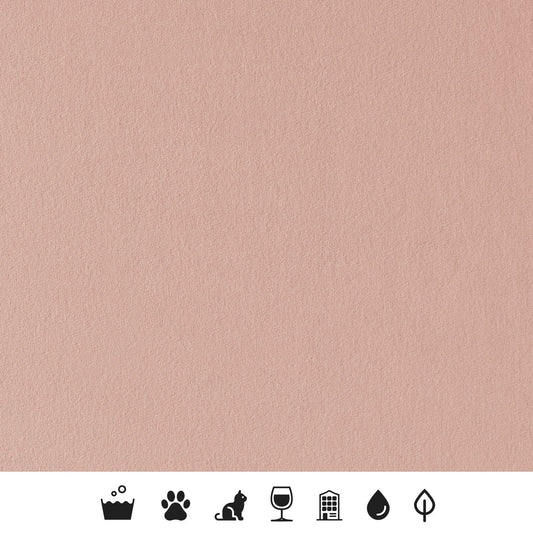Powder Pink in Plush Velvet