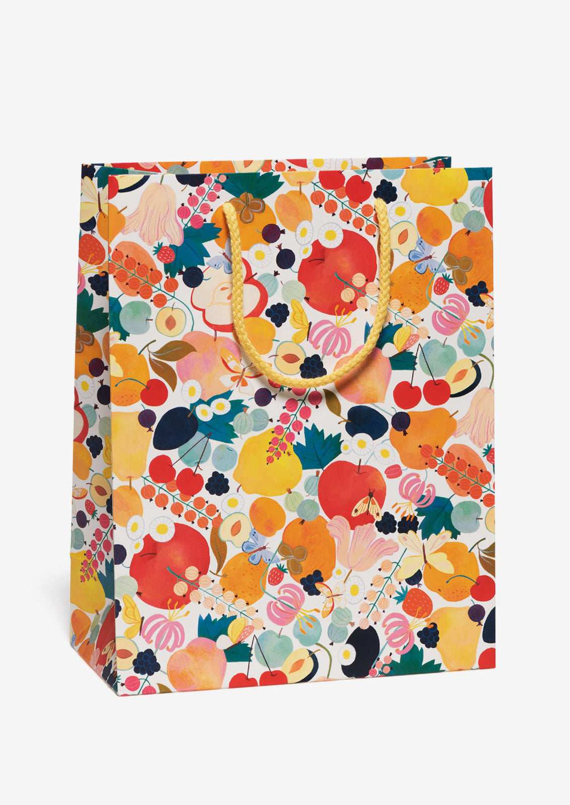 Large Printed Gift Bag