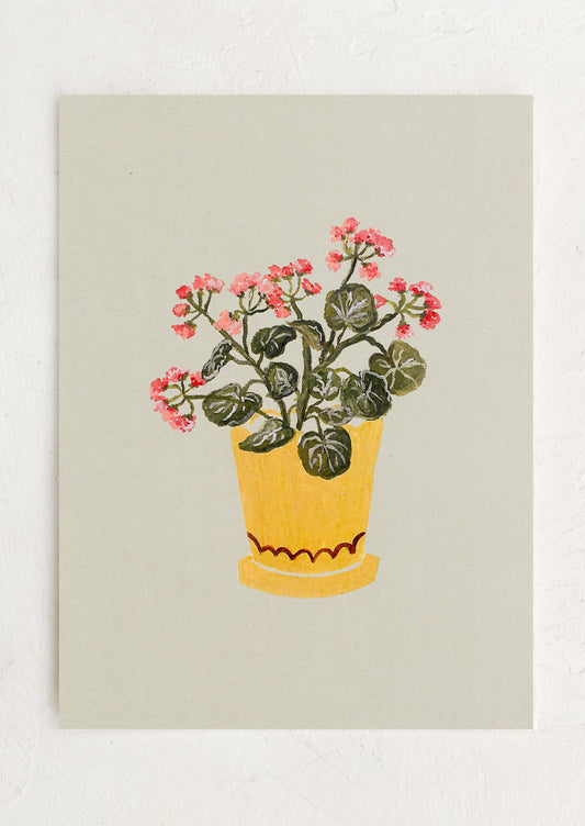 Geraniums in Pot Print