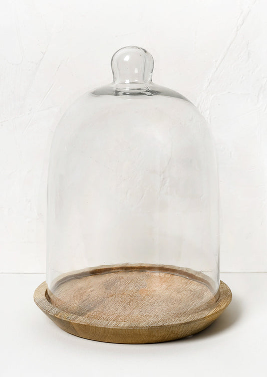 Glass Cloche with Acacia Base