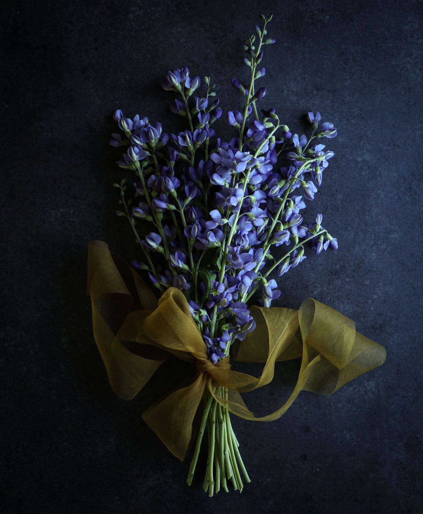 Ochre {Gossamer} Silk Ribbon