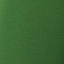 Green Flare Pants