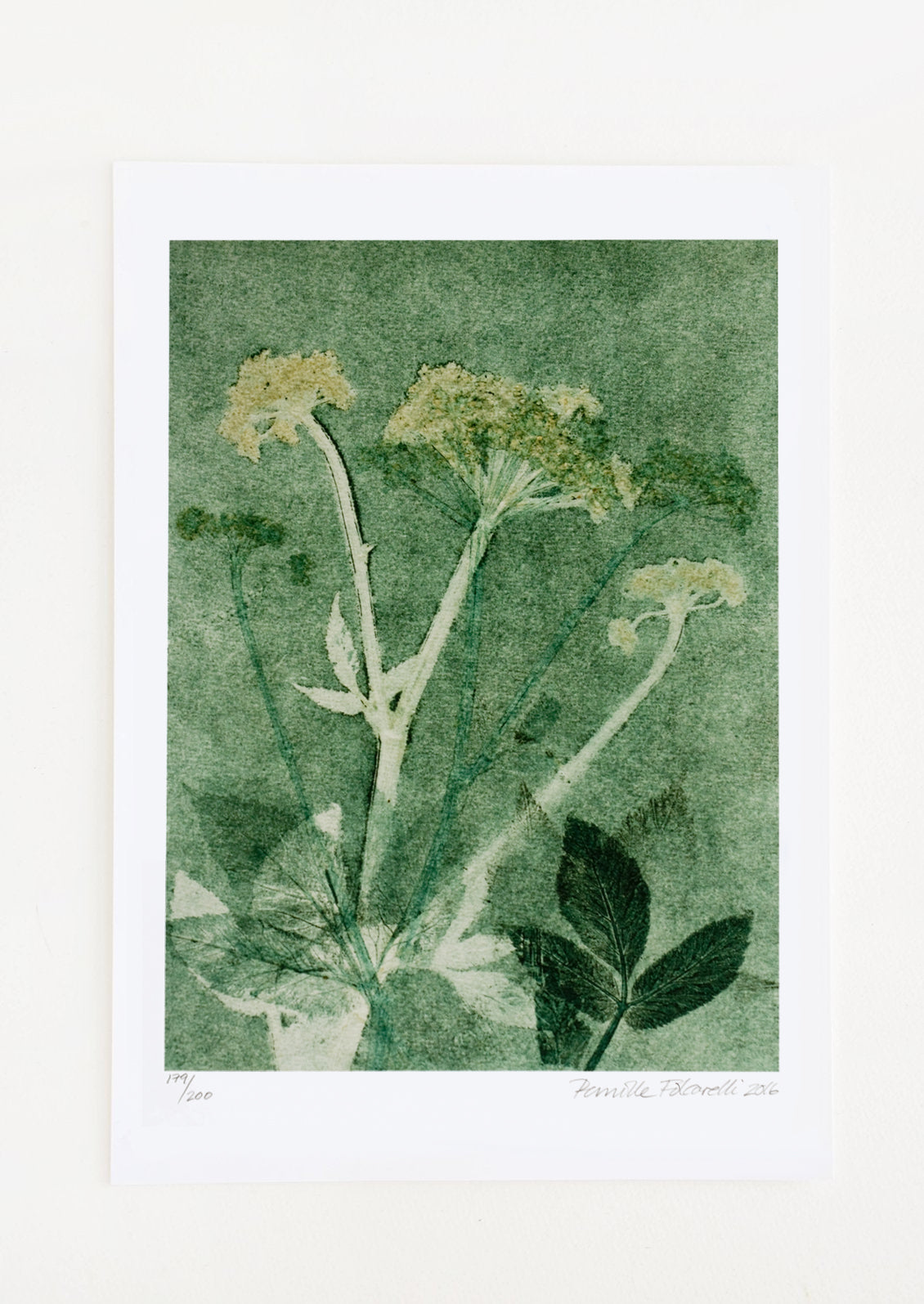 Ground Elder in Green Print