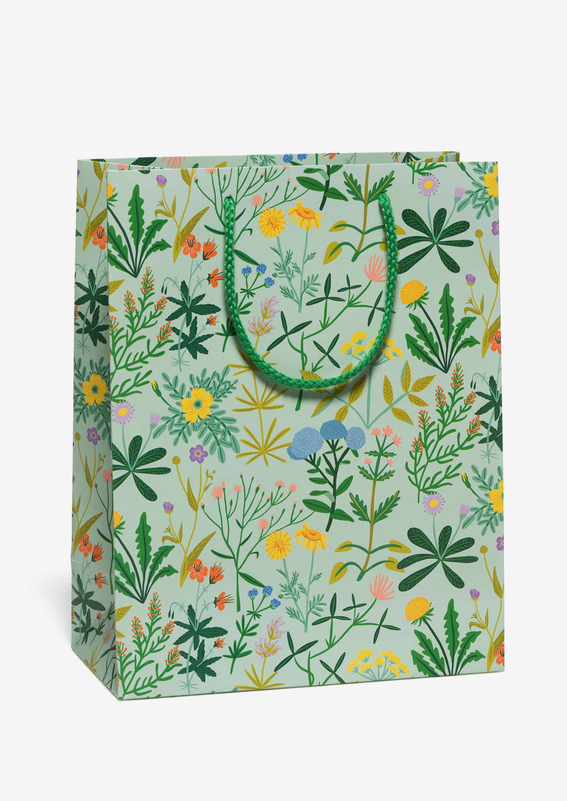 Large Printed Gift Bag