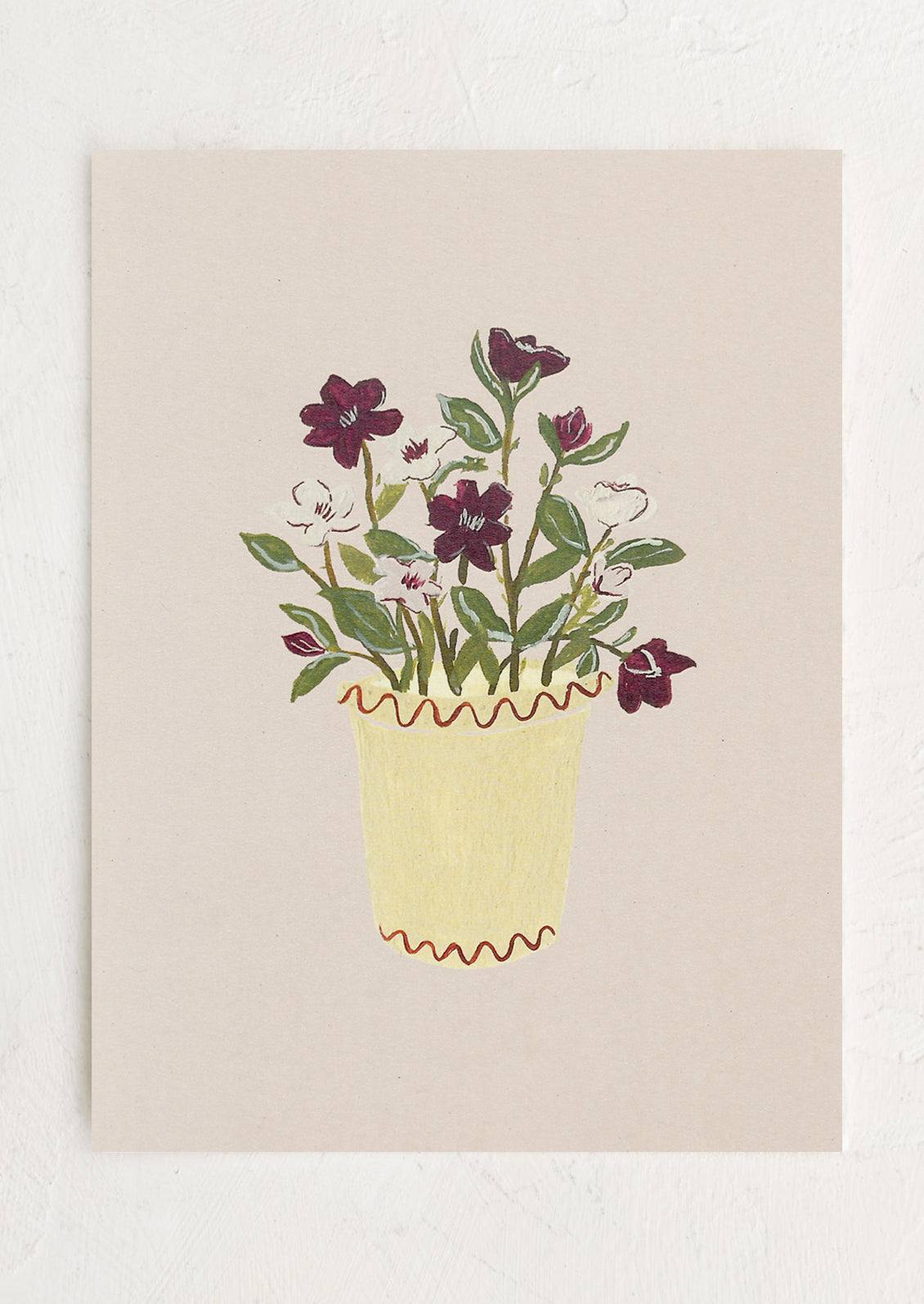 Hellebores in Pot Print