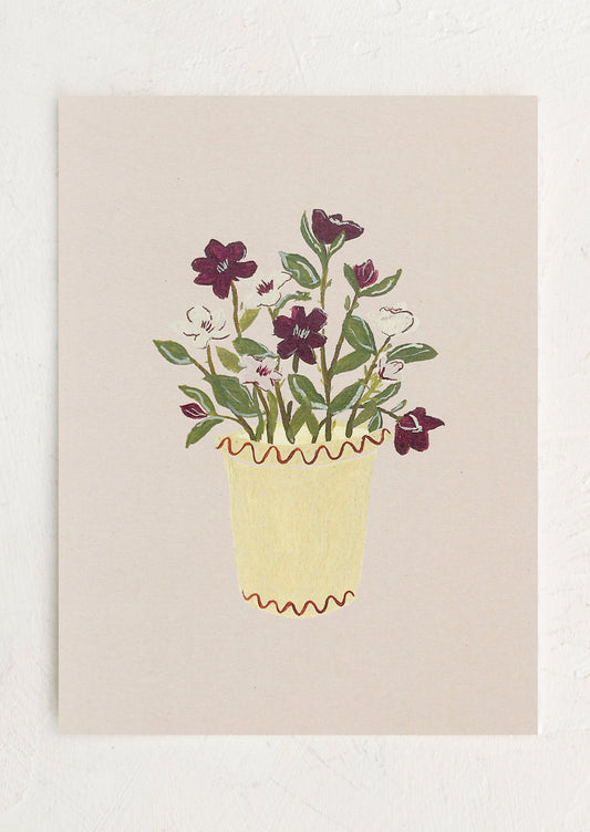 Hellebores in Pot Print