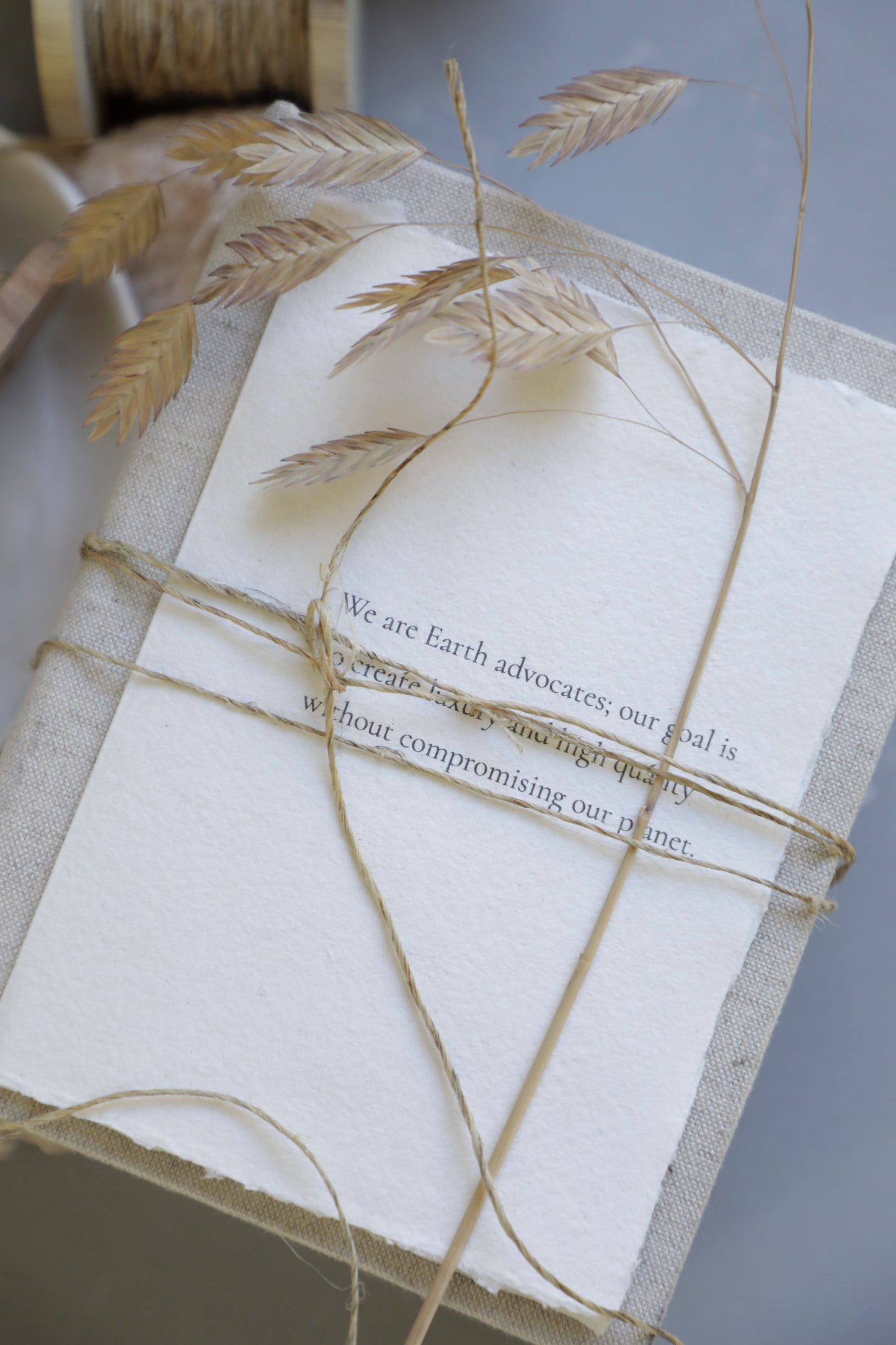 Twine / Organic Hemp
