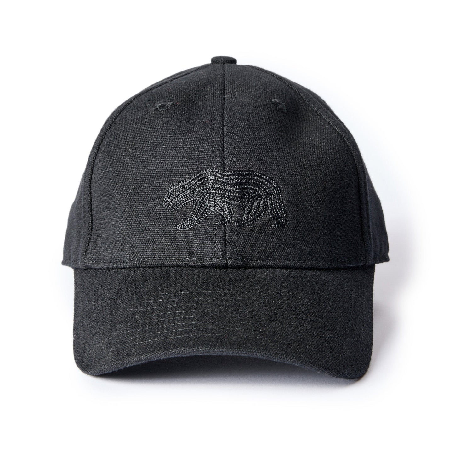 The Ball Cap in Coal Canvas