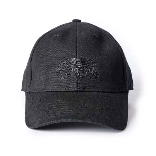 The Ball Cap in Coal Canvas