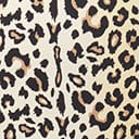 Kingdom & State Leopard Print Swim Bottom