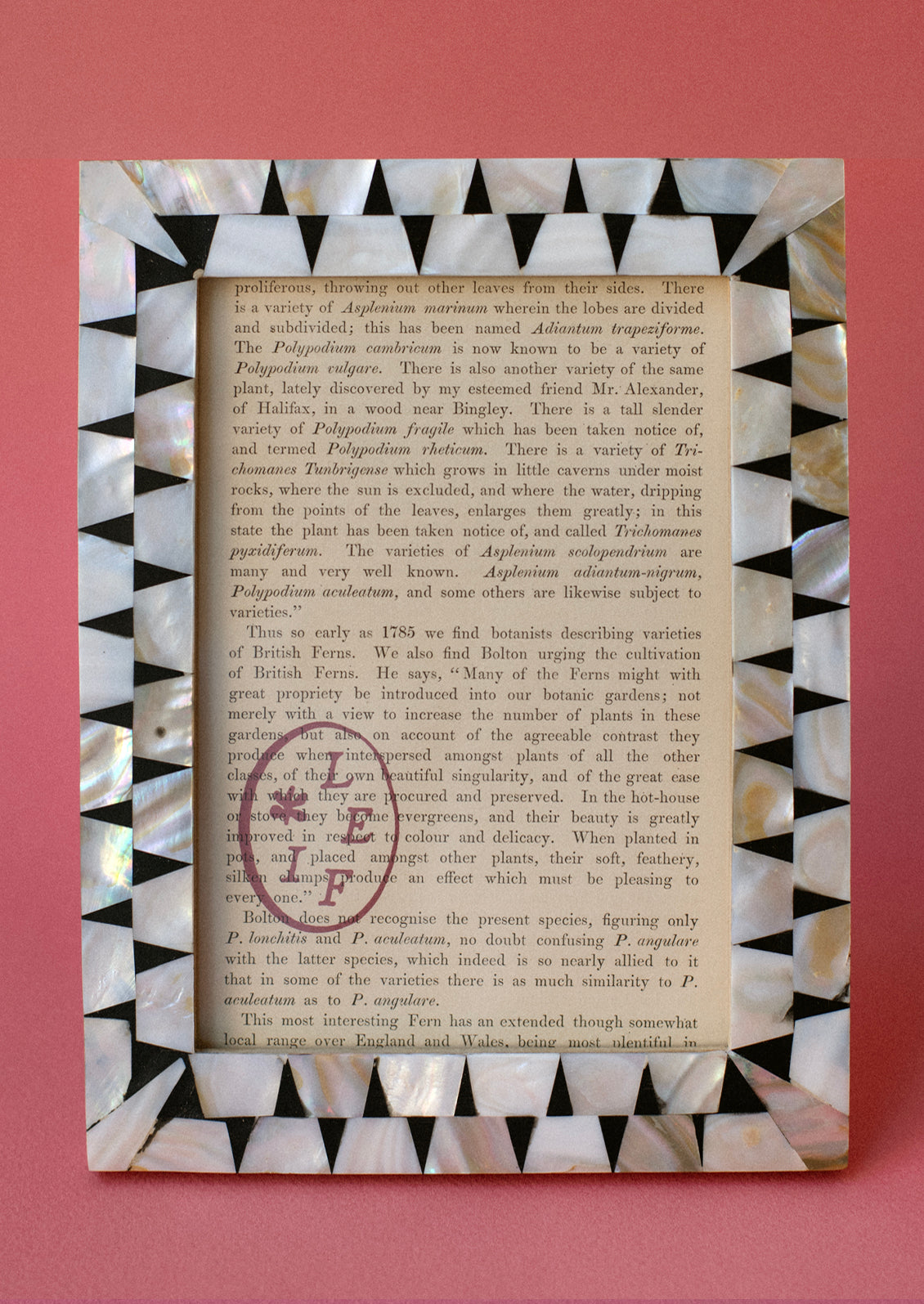 Kumamoto Picture Frame