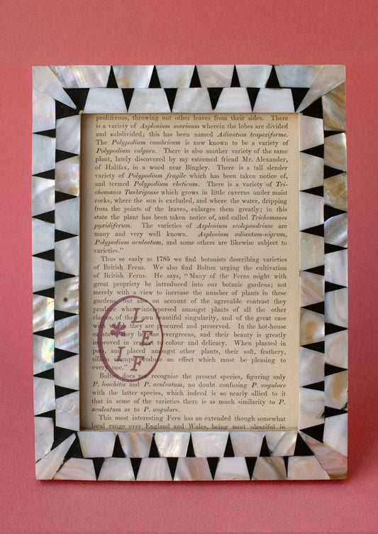Kumamoto Picture Frame