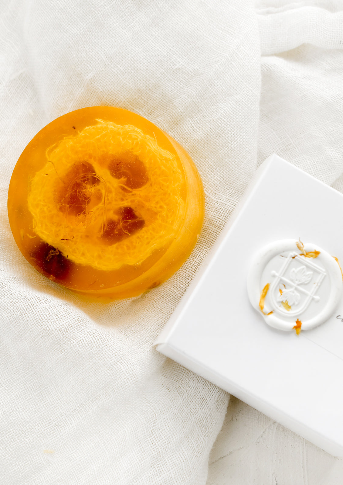 Botanical Loofah Body Bar