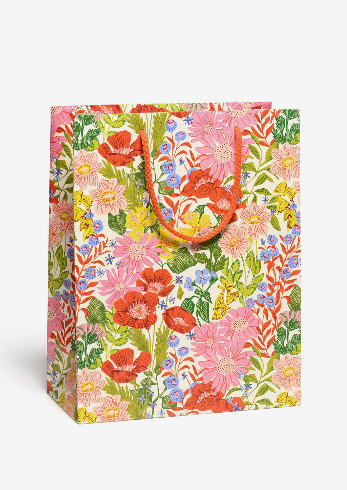 Large Printed Gift Bag