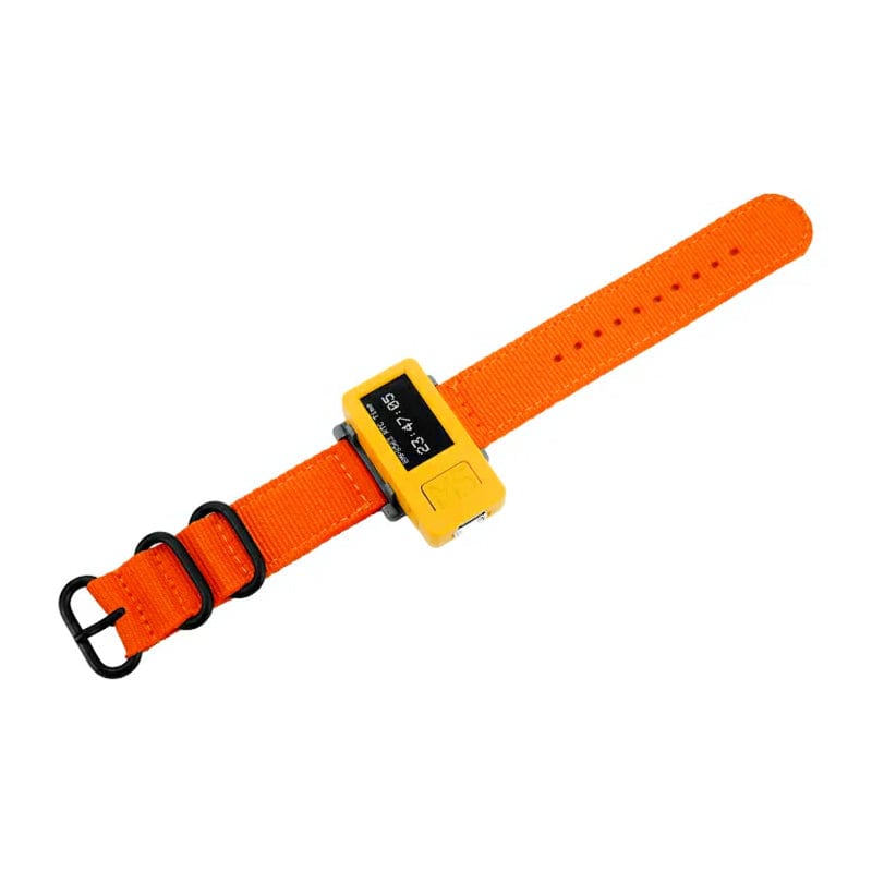 M5StickC PLUS2 with Watch Accessories