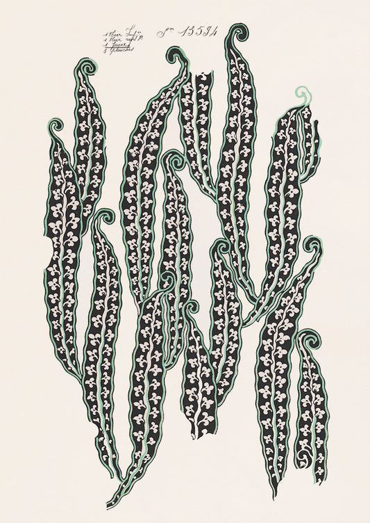 Magic Beans Print