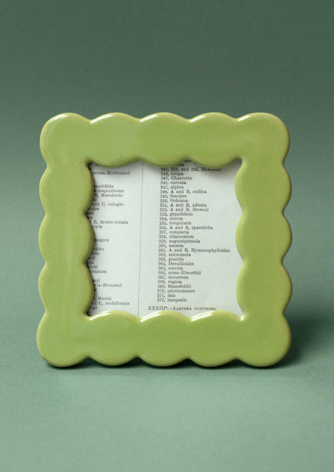Phoebe Ceramic Picture Frame