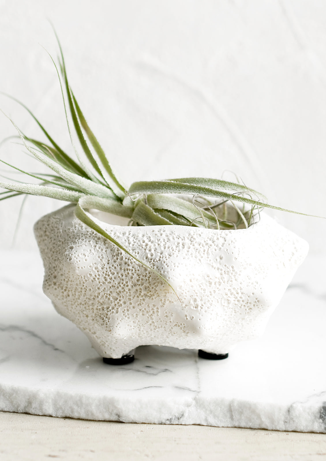 Mieko Tiny Ceramic Planter