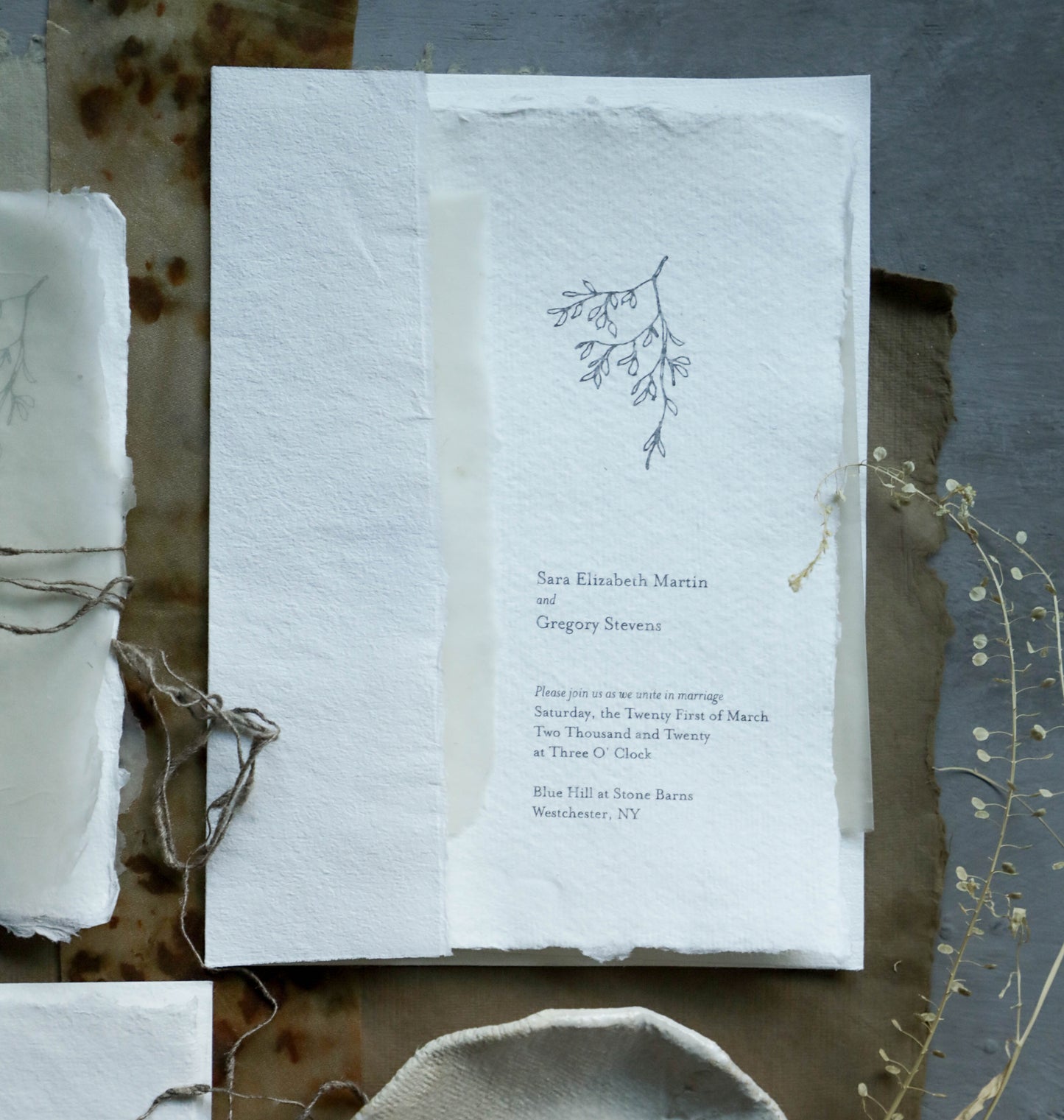 Botanical Line Art {Full Set} Digital Download