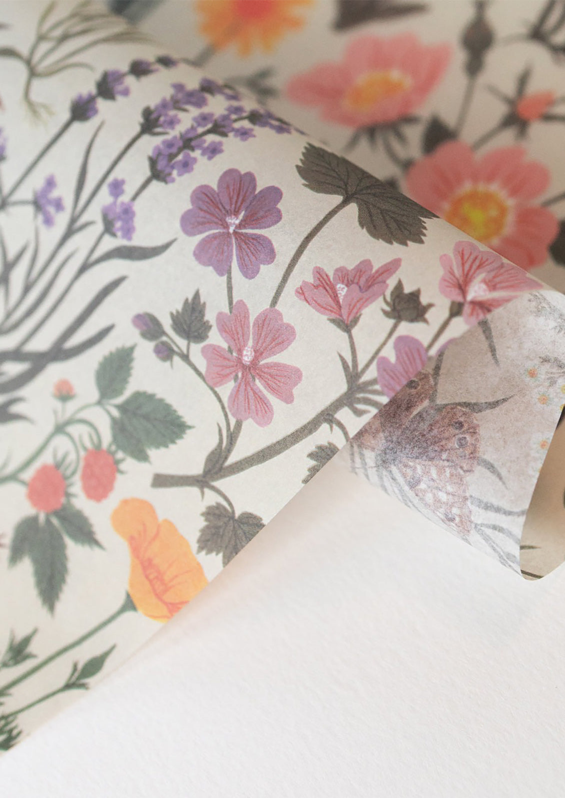 Botanical Mini Tissue Paper Pack