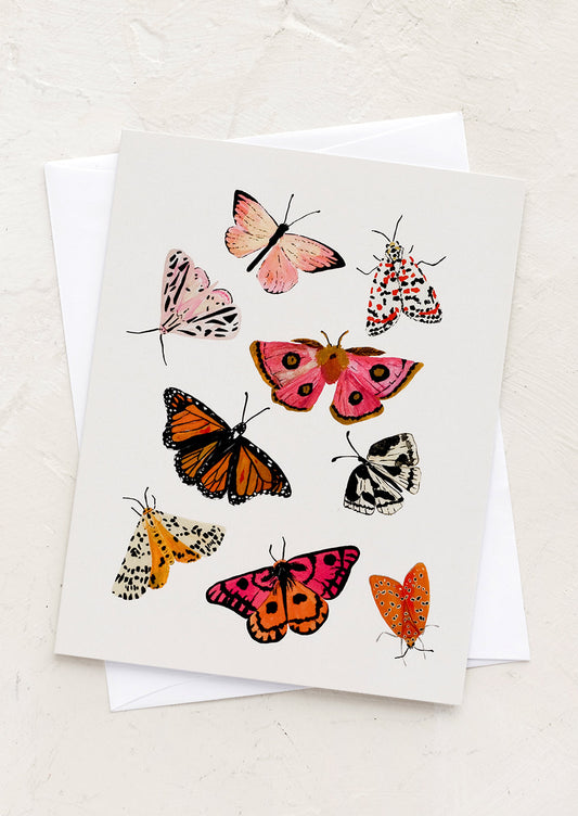 Moths & Butterflies Card