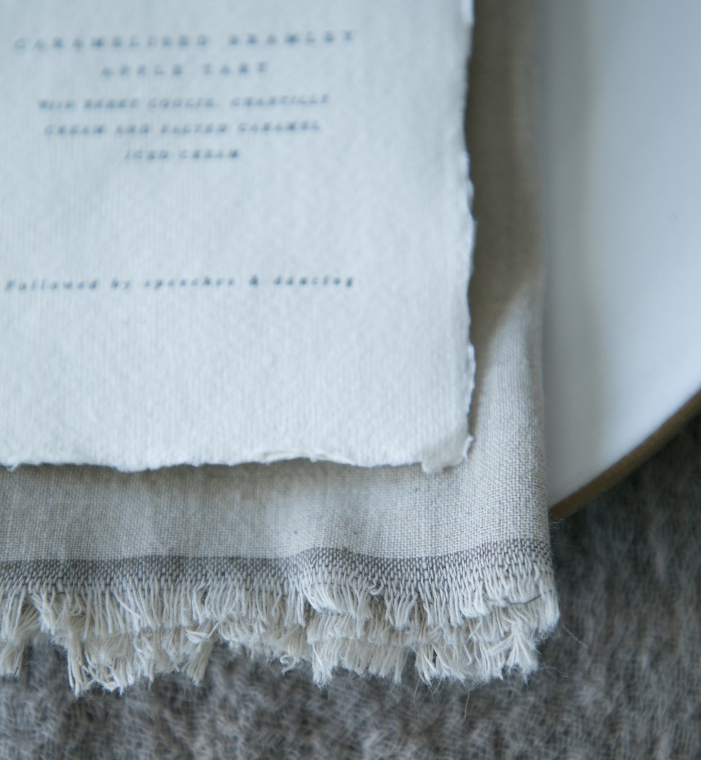 Dove Gray Napkins / Fringe {Tight Weave}