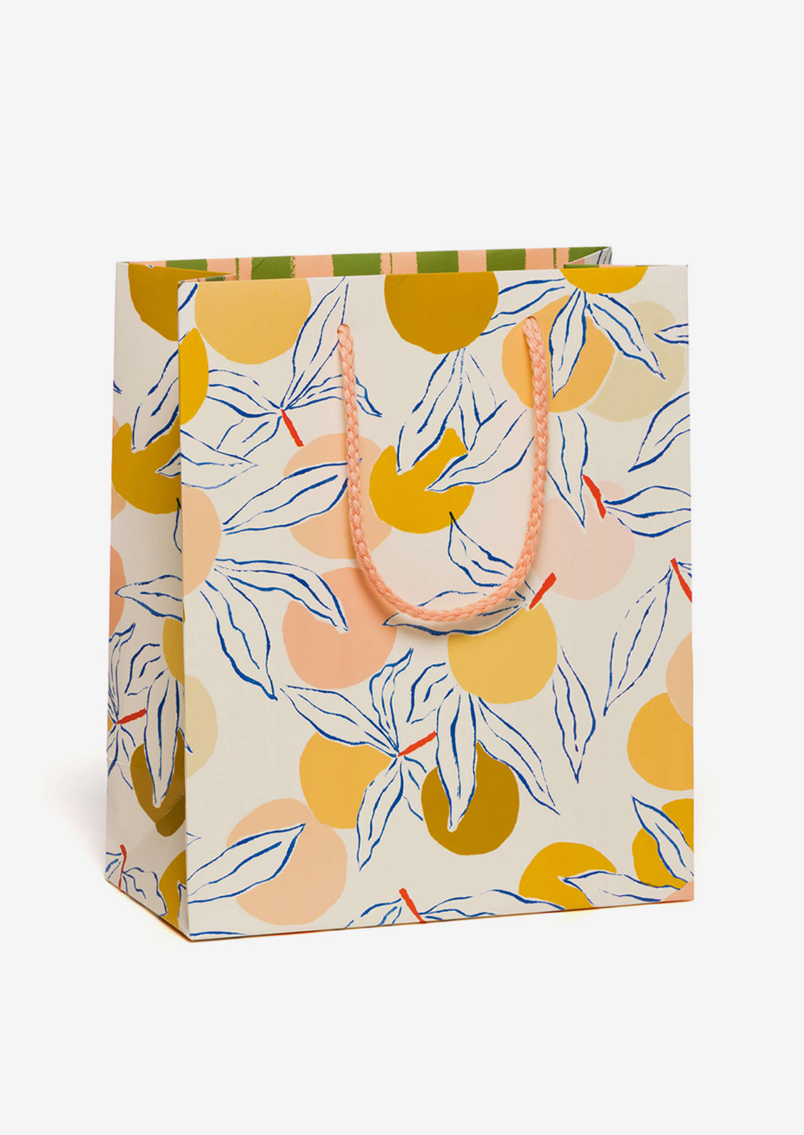 Medium Printed Gift Bag