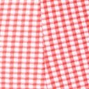 Retro Style Red & White Gingham One Piece Swimsuit