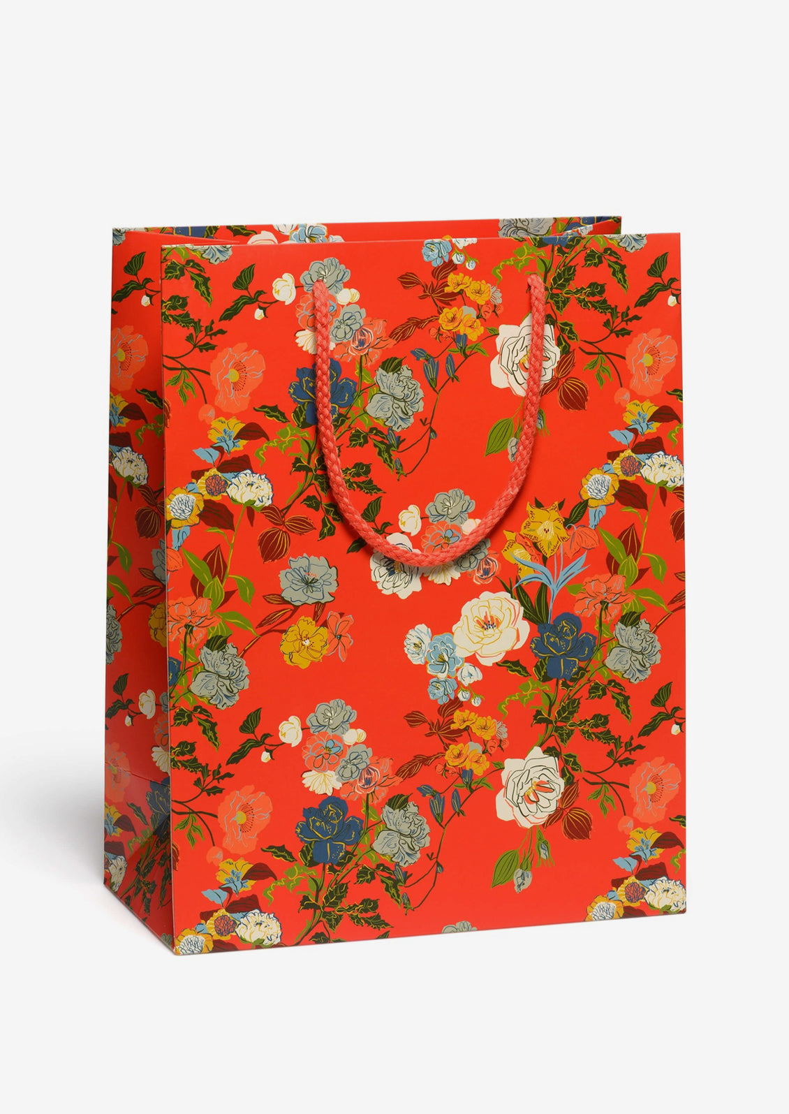 Large Printed Gift Bag