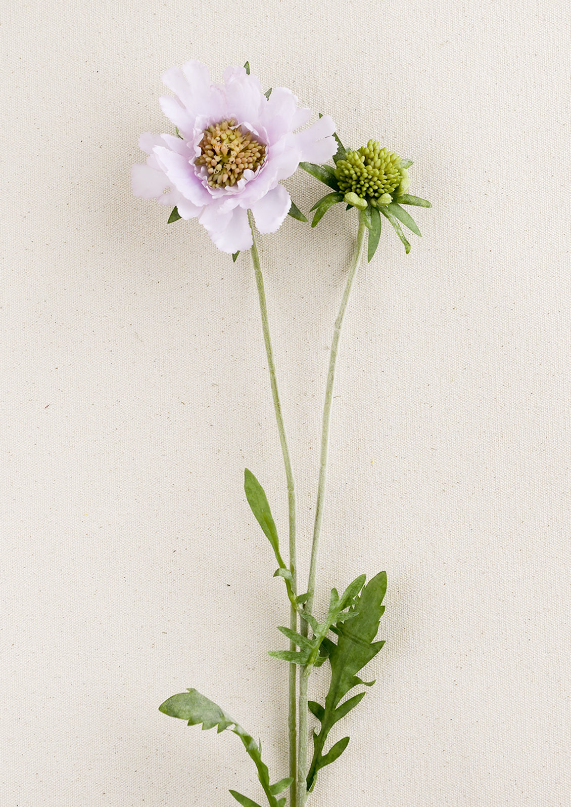 Faux Scabiosa Flower Stem