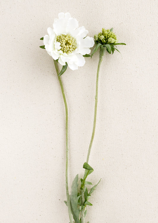 Faux Scabiosa Flower Stem