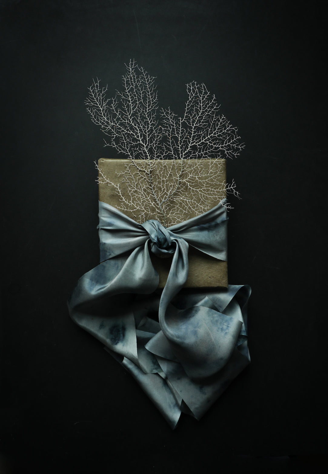 White Sea Fan