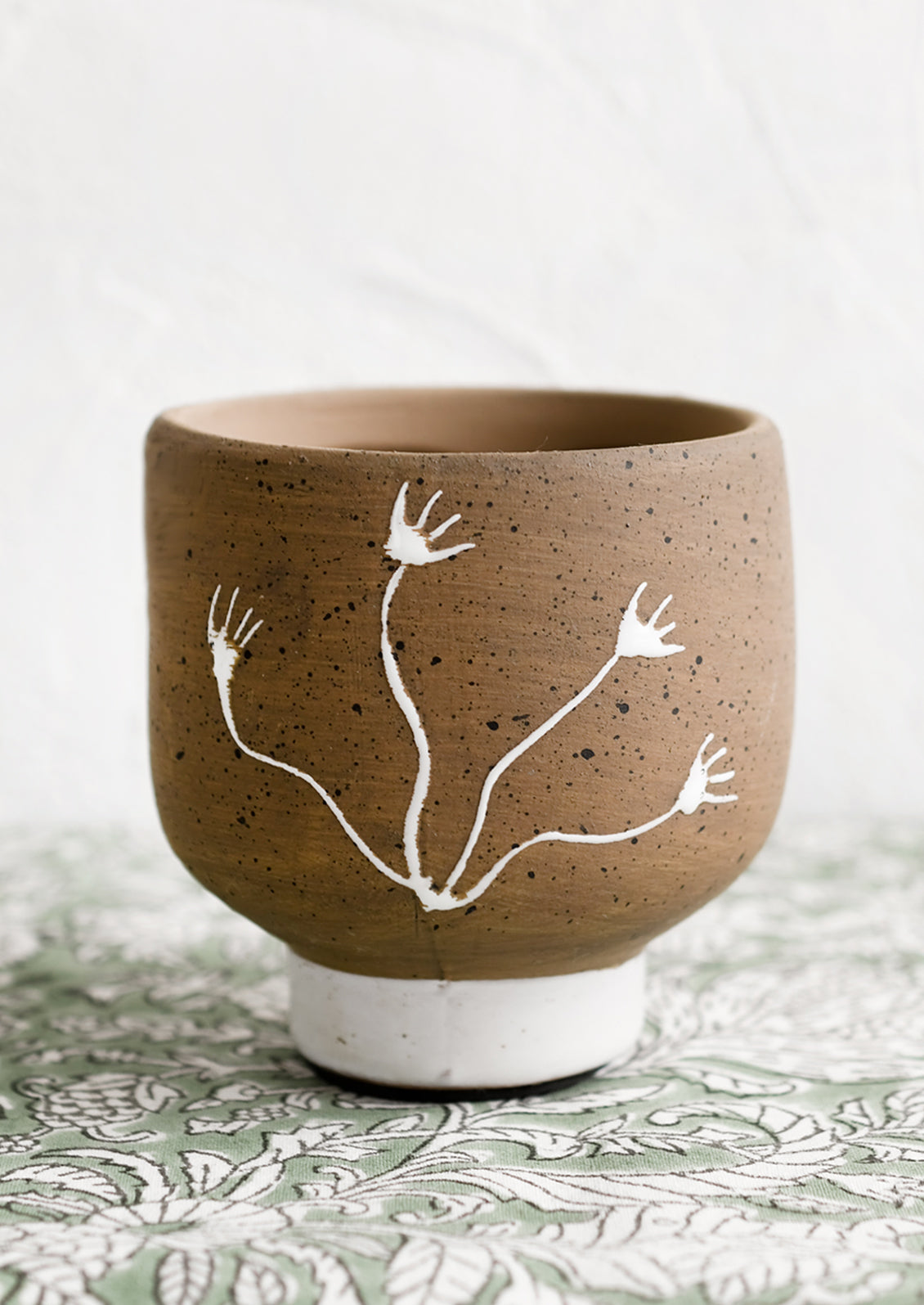 Seaweed Study Pot