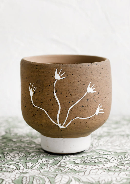 Seaweed Study Pot
