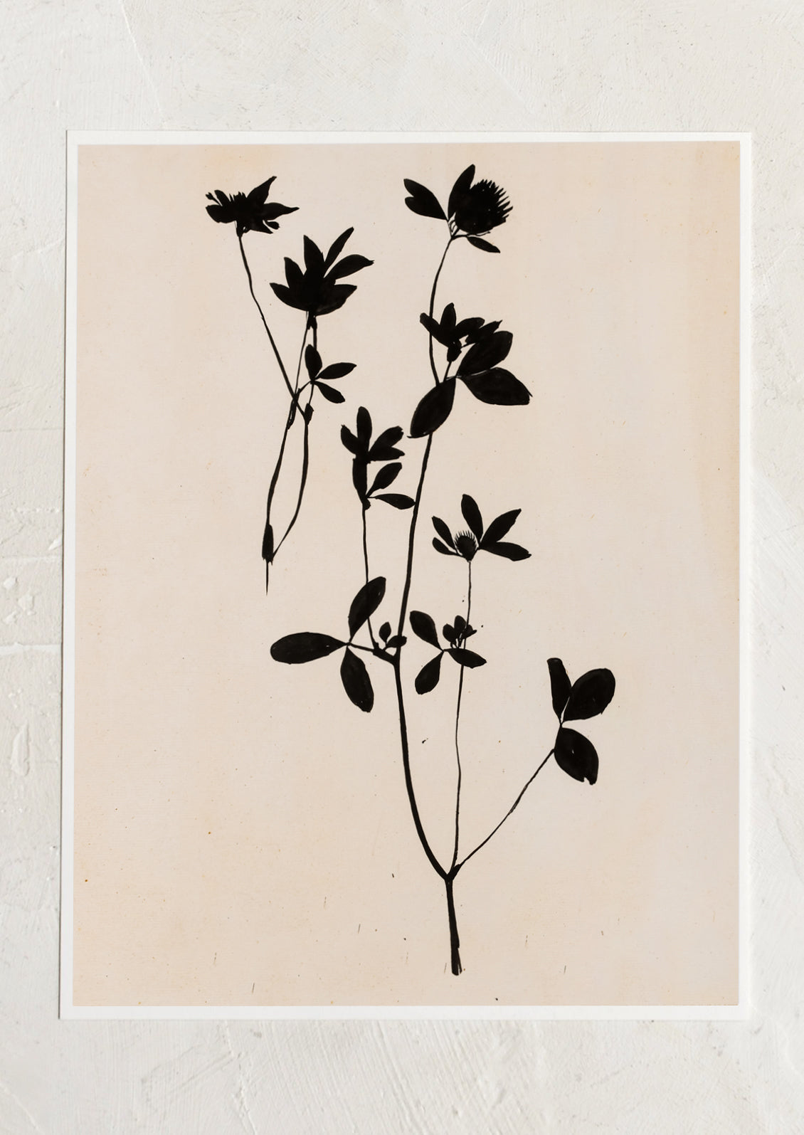 Silhouette De Flora Print