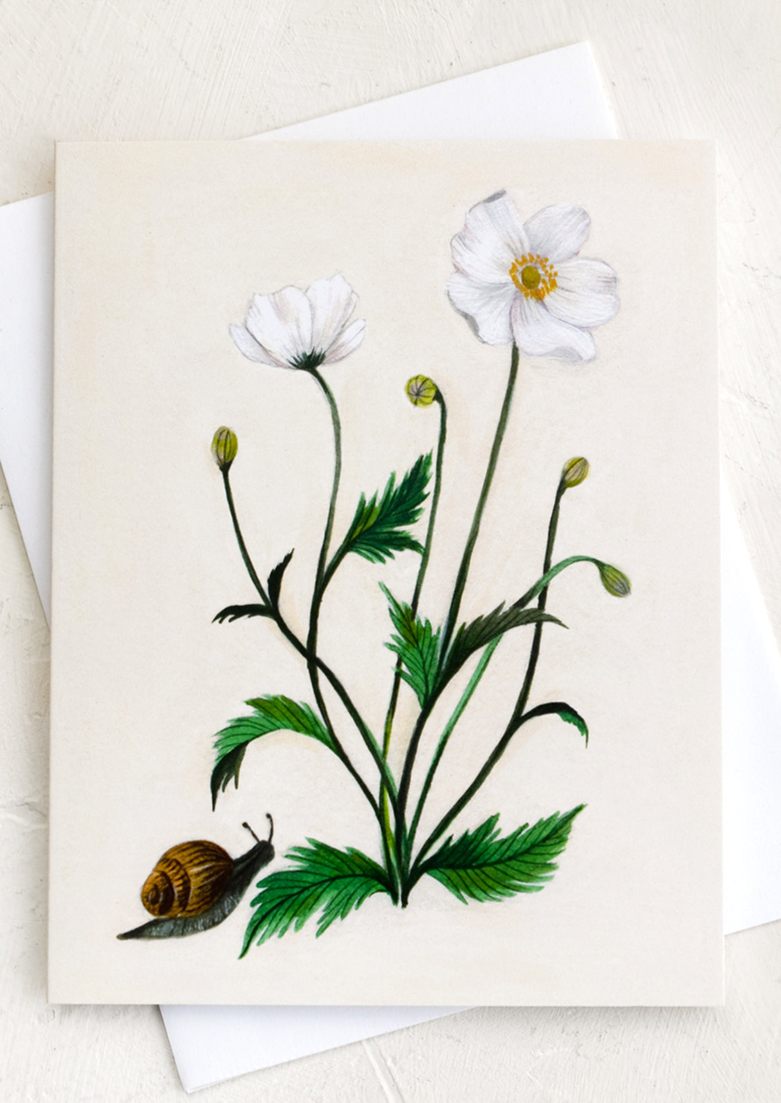 Snail In The Anemones Card