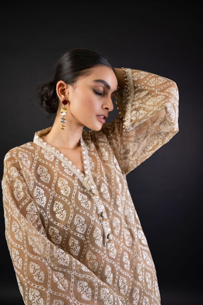 Embroidered Organza Fabric
