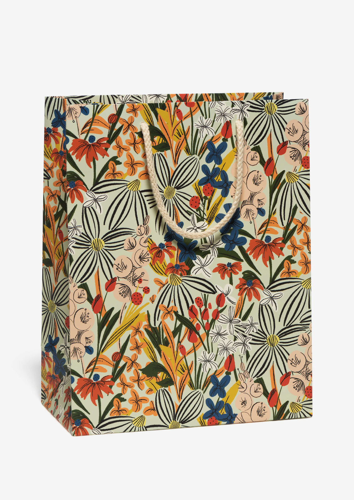 Large Printed Gift Bag