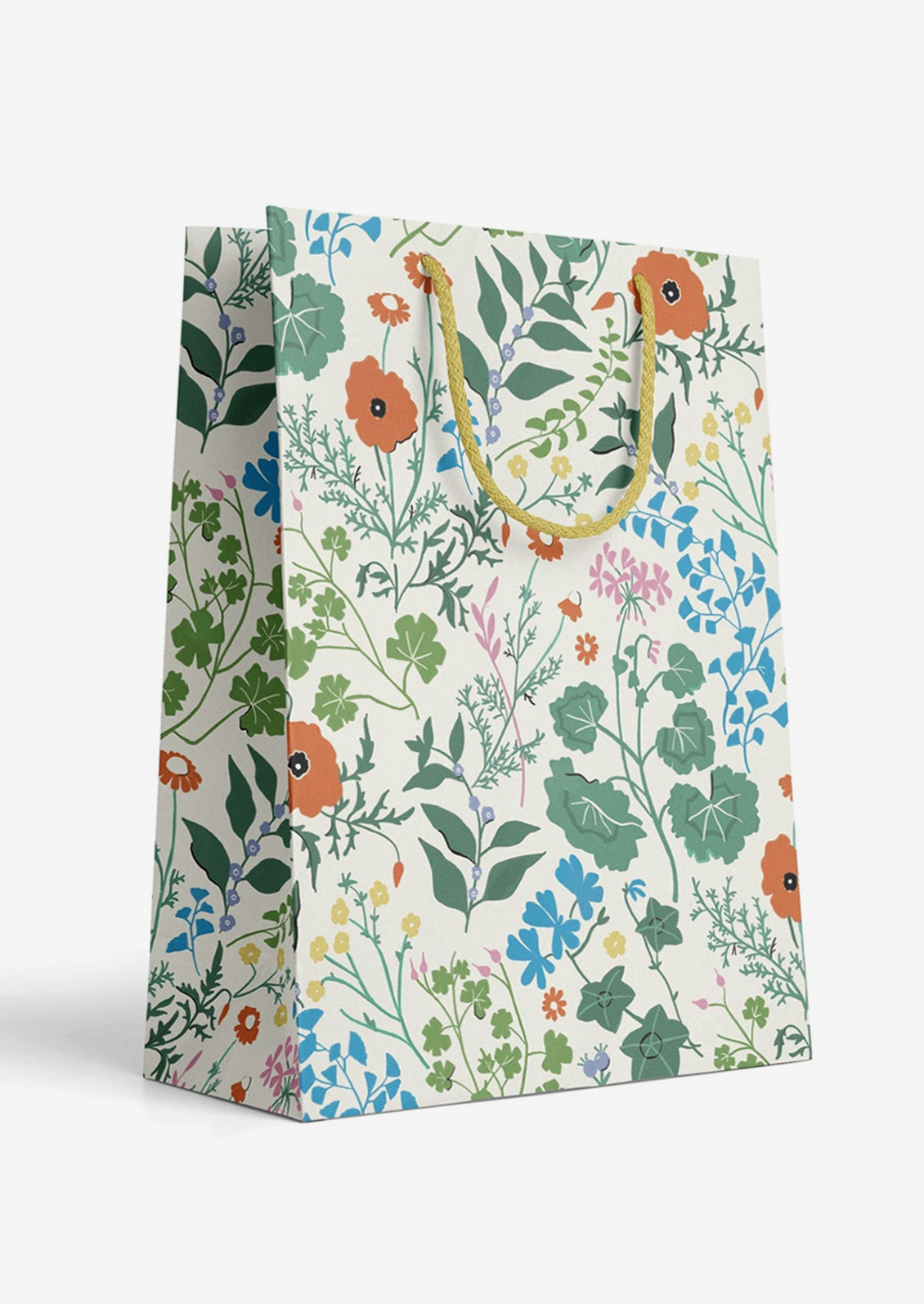 Large Printed Gift Bag
