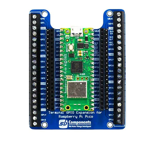Terminal GPIO Expansion for Pico