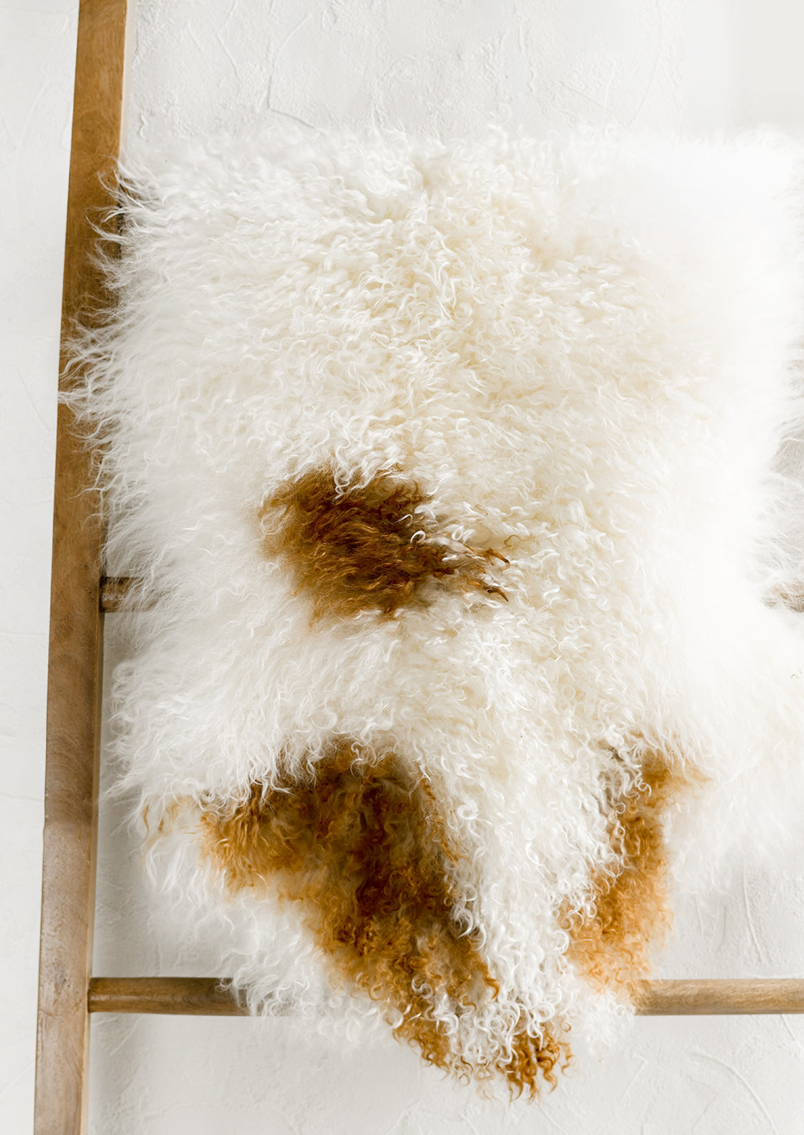 Tibetan Curly Lamb Fur