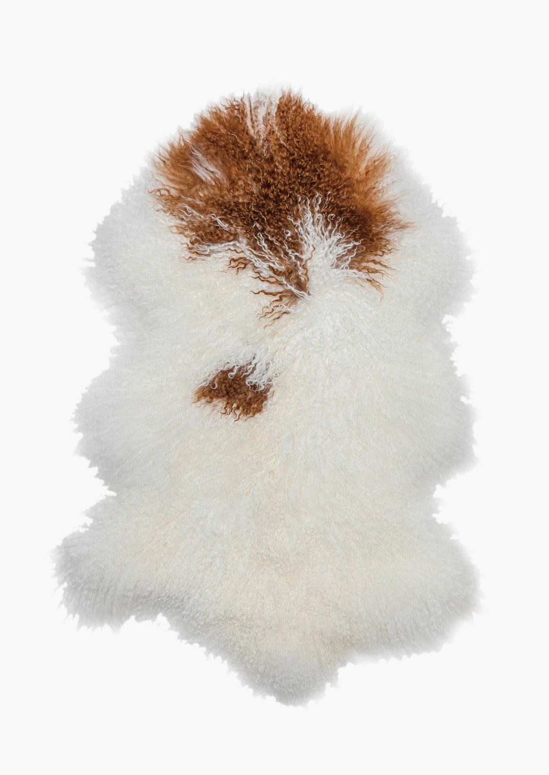 Tibetan Curly Lamb Fur